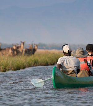 Matusadona National Park Highlights